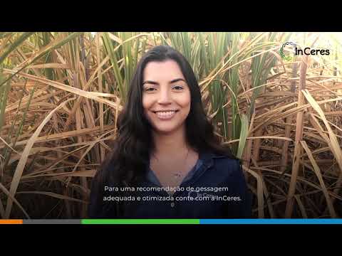 Vídeo: Um Composto Adequadamente Organizado No Local Irá Ajudá-lo A Aumentar A Fertilidade Do Solo E Aumentar A Produtividade Em Estufas E Canteiros De Jardim