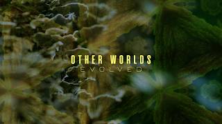 Zero-G Other Worlds Evolved - Trailer