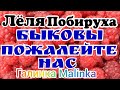 Деревенский дневник очень многодетной мамы /Быковы, пожалейте нас/Обзор Влогов /Стрим/