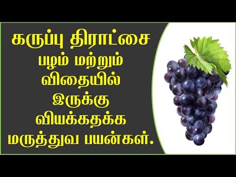 கருப்பு திராட்சை & விதையில் உள்ள மருத்துவ மகிமை | Black grapes health benefits in tamil