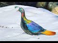 Himalayan Monal | Most unreal looking bird from high altitude Himalayas TrulyWild | Colourful Danphe