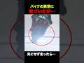 異常バイクで走った結果… #shorts