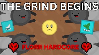 Florr.io Hardcore - The Grind Begins