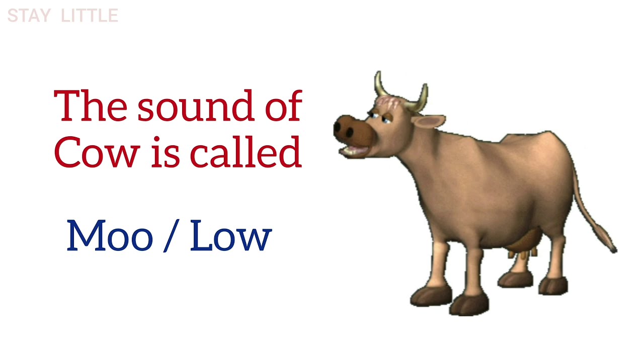 Animal sounds |Animal names and sounds for kids| different animal sounds |animal sound |Stay Little