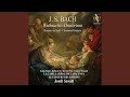 Miniature de la vidéo de la chanson Weihnachts-Oratorium, Bwv 248, Iii. Teil: Nr. 33, Choral. Ich Will Dich Mit Fleiß Bewahren