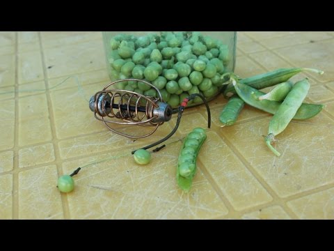 Как ловить на горох видео Как ловить на горох видео