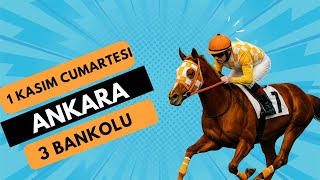 1 Kasım Artesi Ankara Yarışları Tahmin Ve Iz Videosu Ilıganyantahminleri Işı