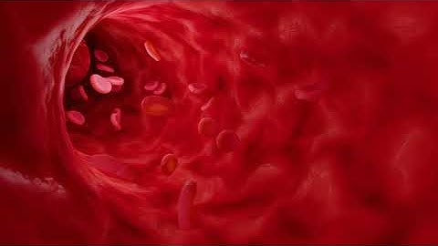 Module 4 Video and Audio Component