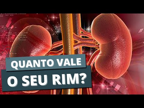 Video QUANTO CUSTA UM RIM? O que você não queria saber... - youtube