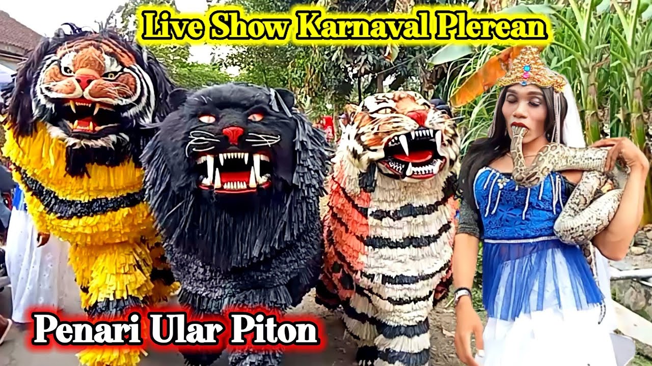 SPECIAL KARNAVAL 2022 | KIRAB CAN MACANAN SINGO RAUNG DAN DRUMBAND AL AZHAR DI PLEREAN