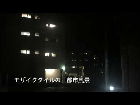 黒のフリージア　PV