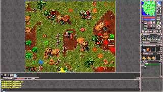 Tibia (The Life of Drevius #1) - Hydra Island! (Rusty Paladin Gameplay)