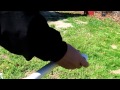 Gopro on a 10' pvc pipe