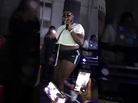 Saucy Santana- Walk em like a Dog (Live Performance)