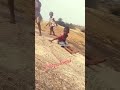 Bachpan#yead👯🌷🌹Aaj ka enjoy#nagpuri #song #shortsfeed 2024 %😭😭😁😀