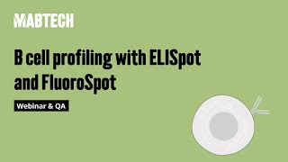 B cell profiling with ELISpot and FluoroSpot