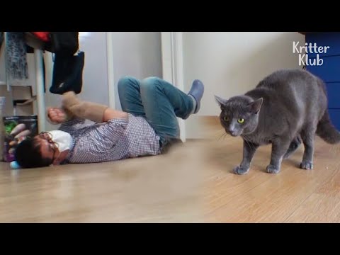 Видео: Как я сделал 180 и стал человеком кошки