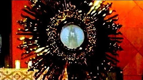 Our Lady in the Eucharist! Appeared Before Hundreds During Fr. Alar Retreat! California, October 13!