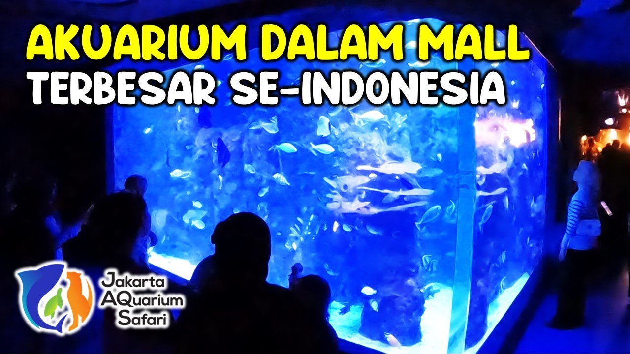 JAKARTA AQUARIUM SAFARI | Neo Soho Mall - YouTube