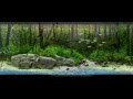 Eastern European Planted Aquarium Design Contest 2013 - Тор 50