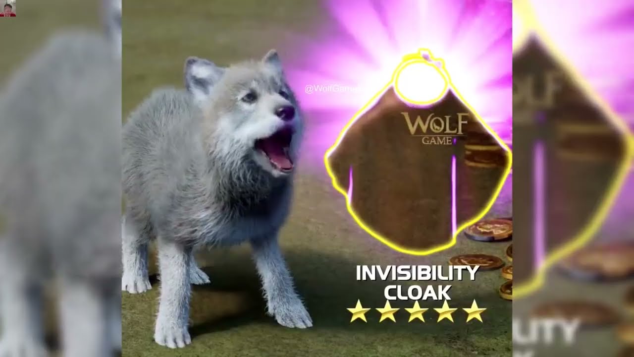 Обзор рекламы Wolf Game Ads 🐾🌪️: От одиночки до вожака стаи!