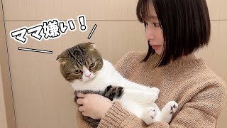 最愛の猫に嫌われてしまいました…涙