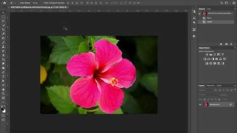 Making Digital Negatives for Cyanotype with Photoshop