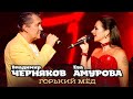 Владимир Черняков и Ева Амурова - Горький мёд