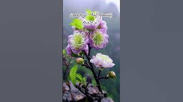 #egzonibrahimi #سورة_الإخلاص #ikhlas #قرآن #اكسبلور #coversong #duet