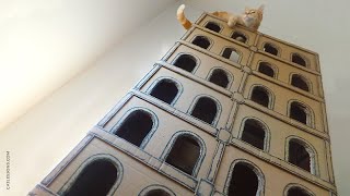 How to Make a 5 Floor Building for Cats by Cat Lessons 1,321,301 views 6 years ago 2 minutes, 51 seconds
