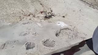 Mud Volcano 3
