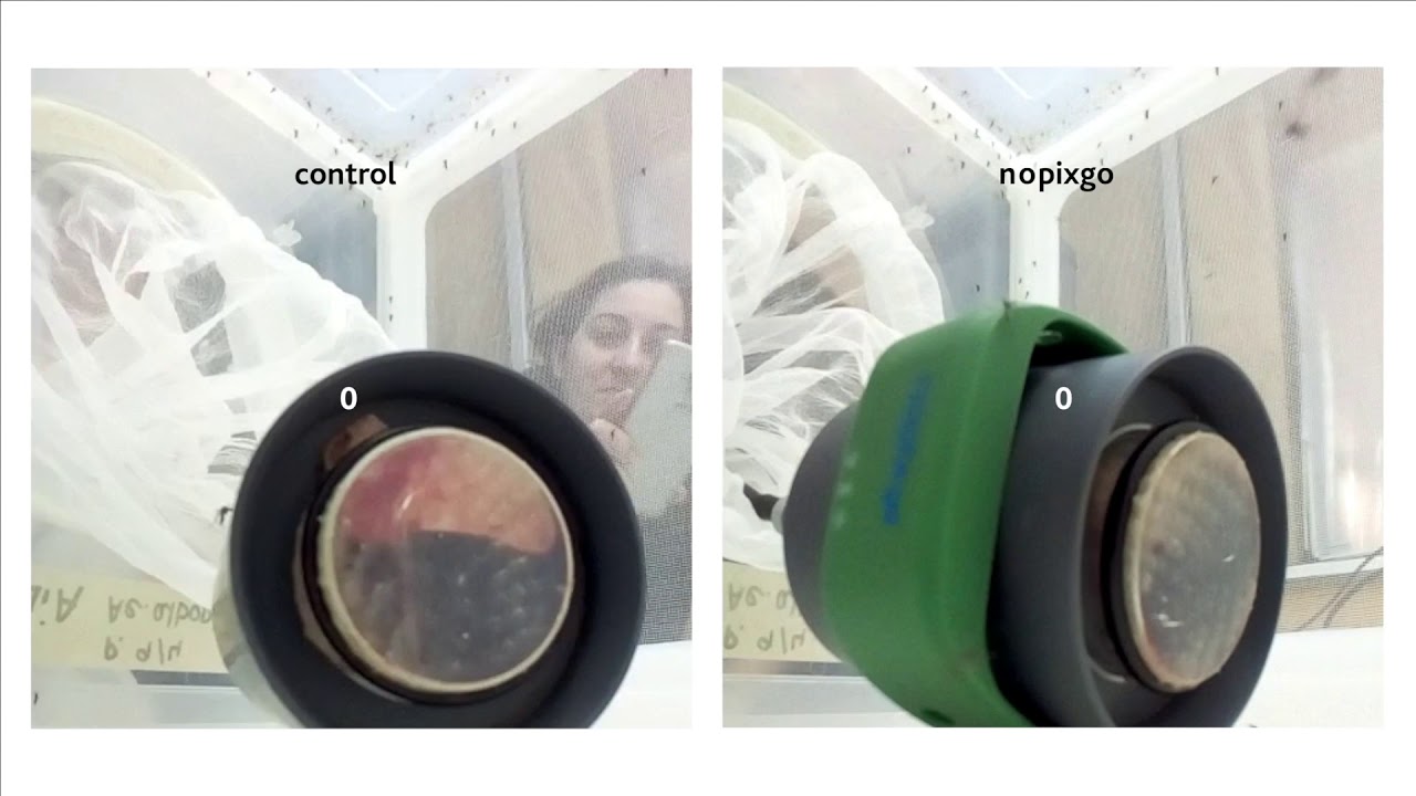 Nopixgo® Mückenschutzband im Labortest