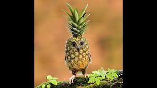 KORDHELL - A MILLION WAYS TO MURDER (IsKai Remake)