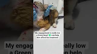 Please don't scroll stay for 10seconds and Write random words to help my baby afford his treatment.