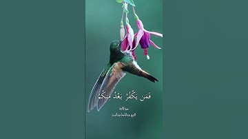 الشيخ عبدالباسط عبدالصمد سورة المائدة #الشيخ_محمد_صديق_المنشاوي #الشيخ_عبدالباسط_عبدالصمد