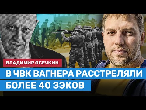 Осечкин: Зэки на войне  — это не добровольцы. Их вынуждают воевать в Украине под угрозой расстрела