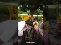 OMAYUZZ FAMILY LIFE SIMPLE PLEASURES