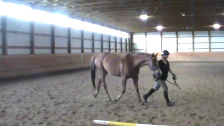 Chris Horgan & Hasty Practical Horsemanship Test 2...