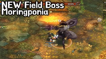[TOS Re] Field Boss Moringponia