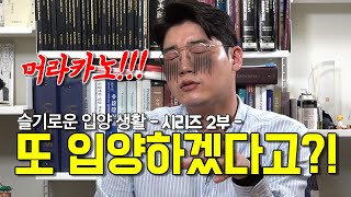 슬기로운 입양생활 #2 한마리 더 입양해도 될까? (다견입양의 조건)