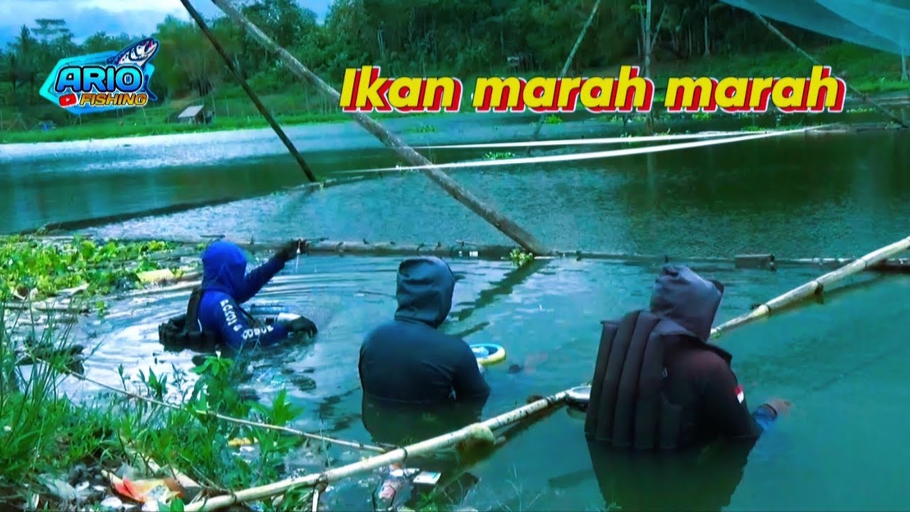 Liaran Bonwatu Sumberpucung‼️ Waduk Karangkates Malang Jawa Timur Indonesia