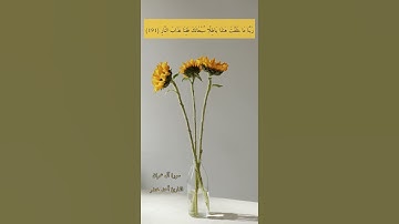 آية ١٩١ "الذين يذكرون الله قيامًا وقعودًا" من سورة آل عمران | اللهم اجعلنا منهم وبارك لنا