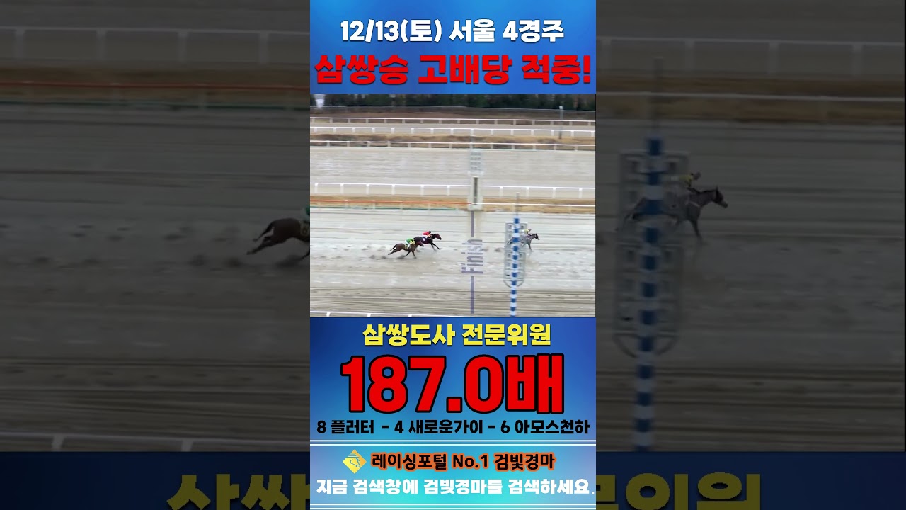 [서울 경마] 12월 13일 토요 4경주 삼쌍도사 전문위원 삼쌍승 고배당 적중 #경마 #한국마사회 #하이라이트 #고배당 #검빛 #코리아