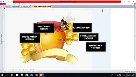 NEKTA MANAGEMENT SYSTEM DATABASE  FOR 451/3 2022 KCSE  PART ONE
