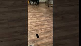 IMG 5351