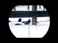 European starling pest control in the snow  22lr scope cam