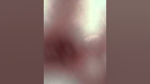 القارئ ماجد سعود المسعودي عشائي رائع عام ١٤٣٧