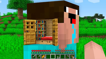 HOW NOOB BUILD BASE INSIDE STATUE? Minecraft NOOB vs PRO! 100% TROLLING SKIN HOUSE FOUND TRAP SECRET