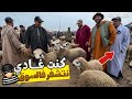 ردو بالكم مباشرة من سوق الاربعاء العونات دكالة اثمنة حولي شناقة خرجو على سوق 2026 4 29