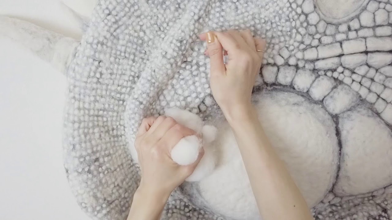 The felted iguana (wool sculpture )-羊毛造形-